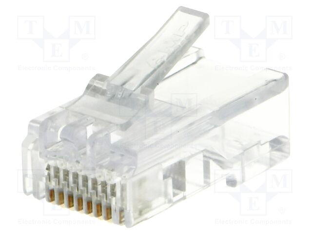 FICHA RJ45