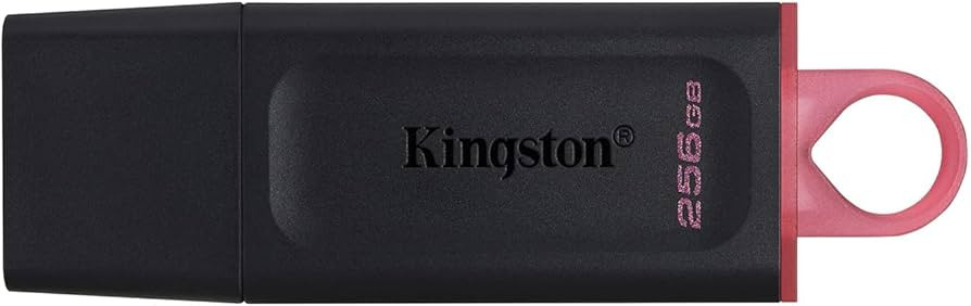 PEN DRIVE KINGSTON EXODIA 256GB 3.2